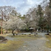 源頼家ゆかりの史跡が点在