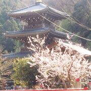 罪人の駆け込み寺