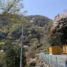 山の上の駐車場から、徒歩で降りて行きます