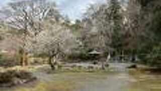 源頼家ゆかりの史跡が点在