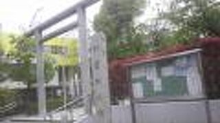 河津桜のシーズンに