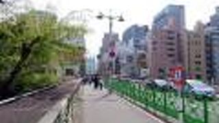 大々的に補強工事中でした。ザンネン。