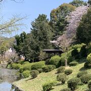 湯築城跡で愛媛県指定文化財「湯釜薬師」のある公園