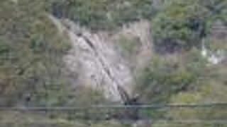 ロープウェイから見ることができます。