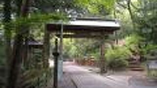 気持ちが引き締まる参道