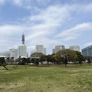 みなとみらい地区のはしっこの緑地