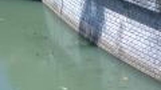 観光名所「眼鏡橋」の見学に最適な中島川畔の中島川公園一帯は古い長崎の面影を残しています。