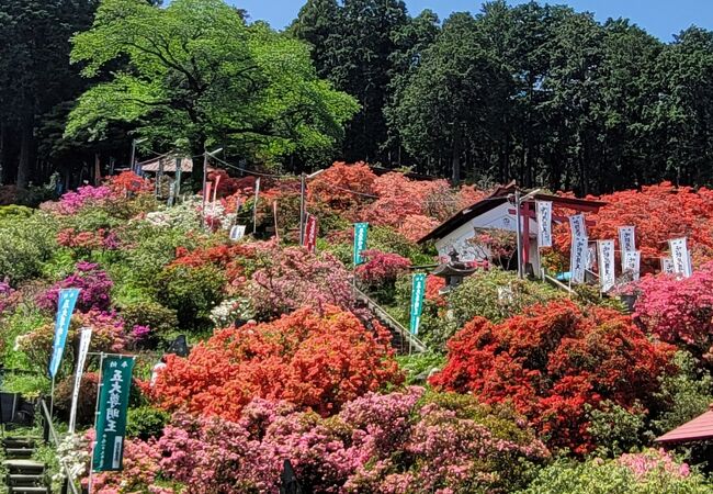 日高 鶴ヶ島 坂戸の公園 植物園 クチコミ人気ランキングtop7 フォートラベル 埼玉県 日高 鶴ヶ島 坂戸の公園 植物園 クチコミ人気ランキングtop7 フォートラベル 埼玉県