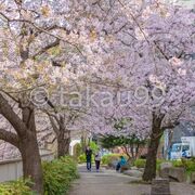 「神田上水公園」は神田川沿いにある公園