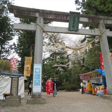 園内にある駒形神社では、婚礼を挙げたばかりらしいお二人の姿も