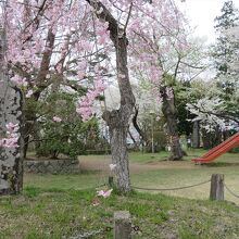 子どもの遊具を設置した場所もありました