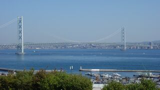 鳶（とんび）に気をつけてください。私は経験があります。