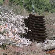 桜は少なく、秋の紅葉時に訪れたいところです。