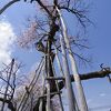 一部だけ