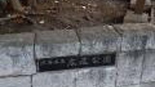 都会の中の緑あふれる公園