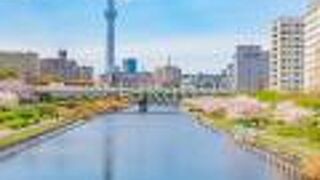 東京スカイツリーと桜と列車のコラボが狙えます。