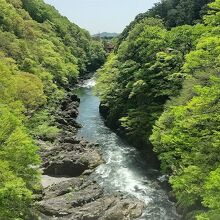 橋からの渓谷