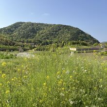 外の風景