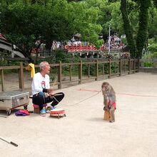 猿回しの大道芸人