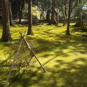 素晴らしい苔の庭園