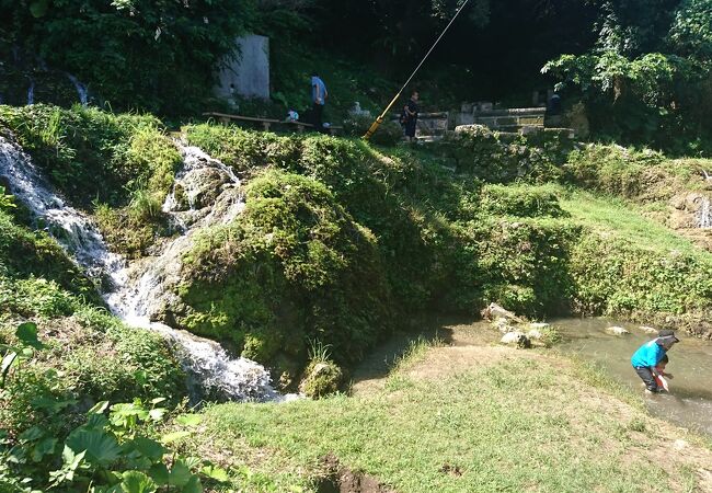 垣花樋川 クチコミ アクセス 営業時間 知念 玉城 八重瀬 フォートラベル