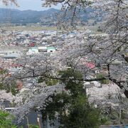 前澤城があった高台の公園。満開の桜も町並み風景も楽しめました