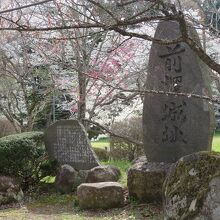 前澤城址の石碑も残るお物見公園。