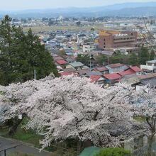 高台下への道筋からの眺めもきれい