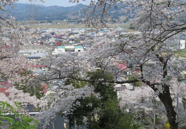 前澤城があった高台の公園。満開の桜も町並み風景も楽しめました