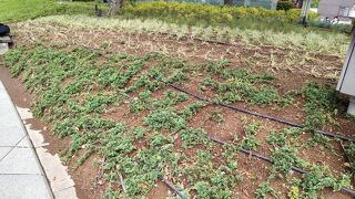 ウ～ン 何もない！(?・・)σ