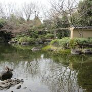 敷地内の東淵江庭園を歩きました