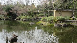 敷地内の東淵江庭園を歩きました