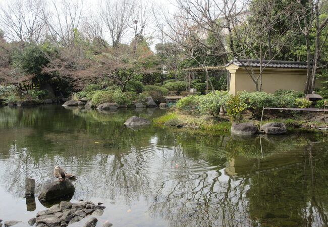 敷地内の東淵江庭園を歩きました