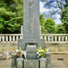 手入れが行き届いています