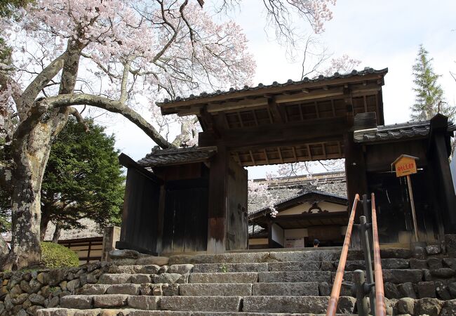 進徳館 クチコミ・アクセス・営業時間｜辰野・箕輪・高遠