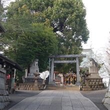 静寂につつまれる神社。