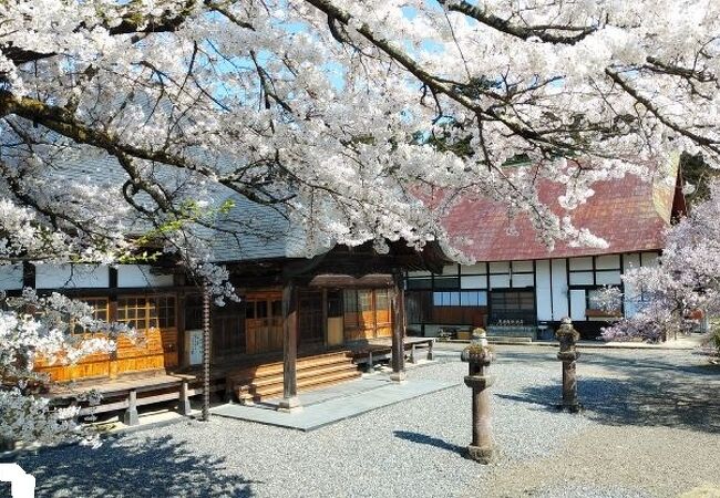 会津大仏と季節の花々がみどころ