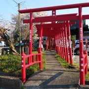 赤い小さな鳥居が並ぶ神社