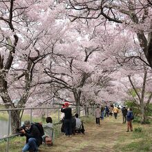 六道の堤の景色