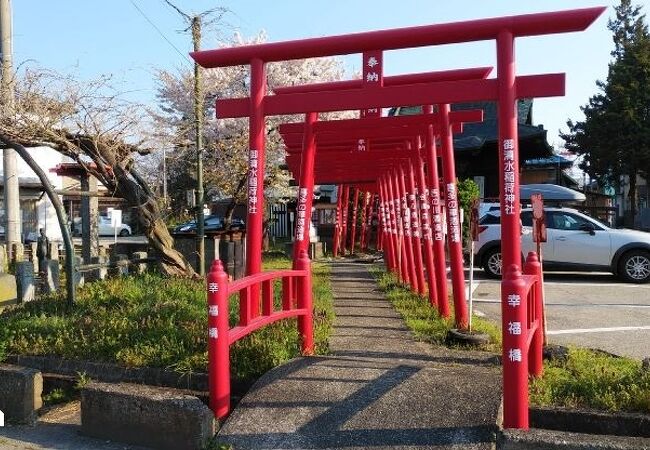 赤い小さな鳥居が並ぶ神社