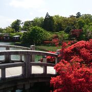 花も多い