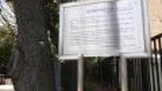 かなりさりげない立て看板。