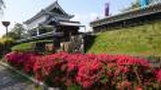 無料の展示室も