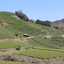 石寺の撮影スポット