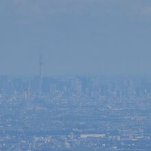 スカイツリーが見えました。