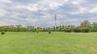 桜草公園