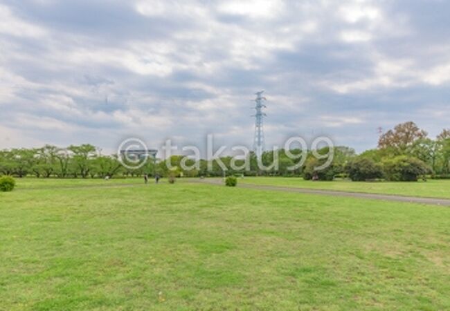 桜草公園