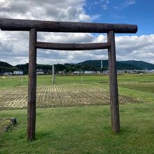 伊雑宮「磯部の御神田」