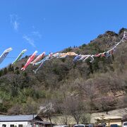 青空に鯉のぼりが泳ぐ春の絶景