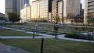 遊歩道が整備されています